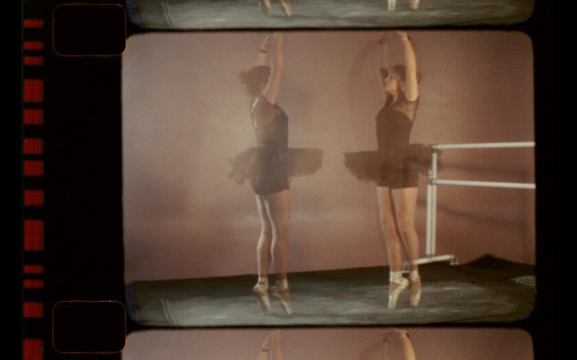 Untitled Untitled